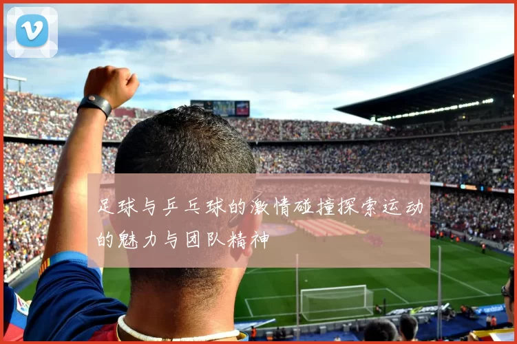 足球与乒乓球的激情碰撞探索运动的魅力与团队精神