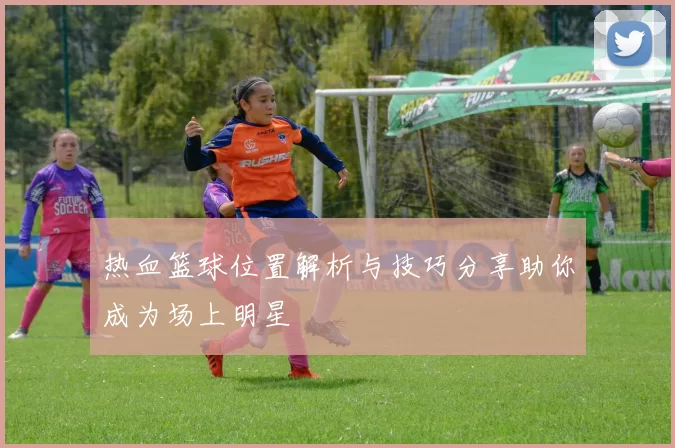 热血篮球位置解析与技巧分享助你成为场上明星